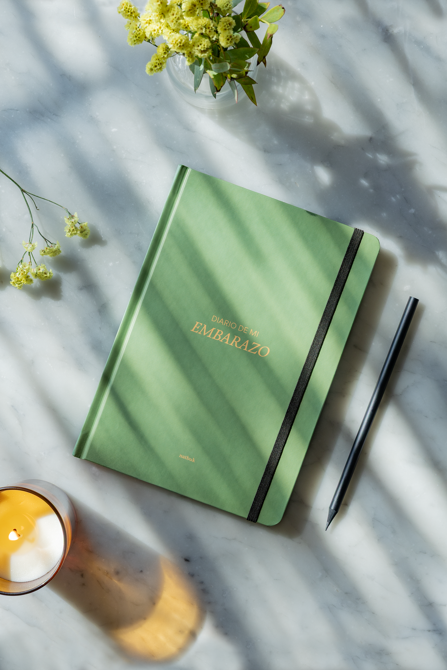 Diario de mi embarazo