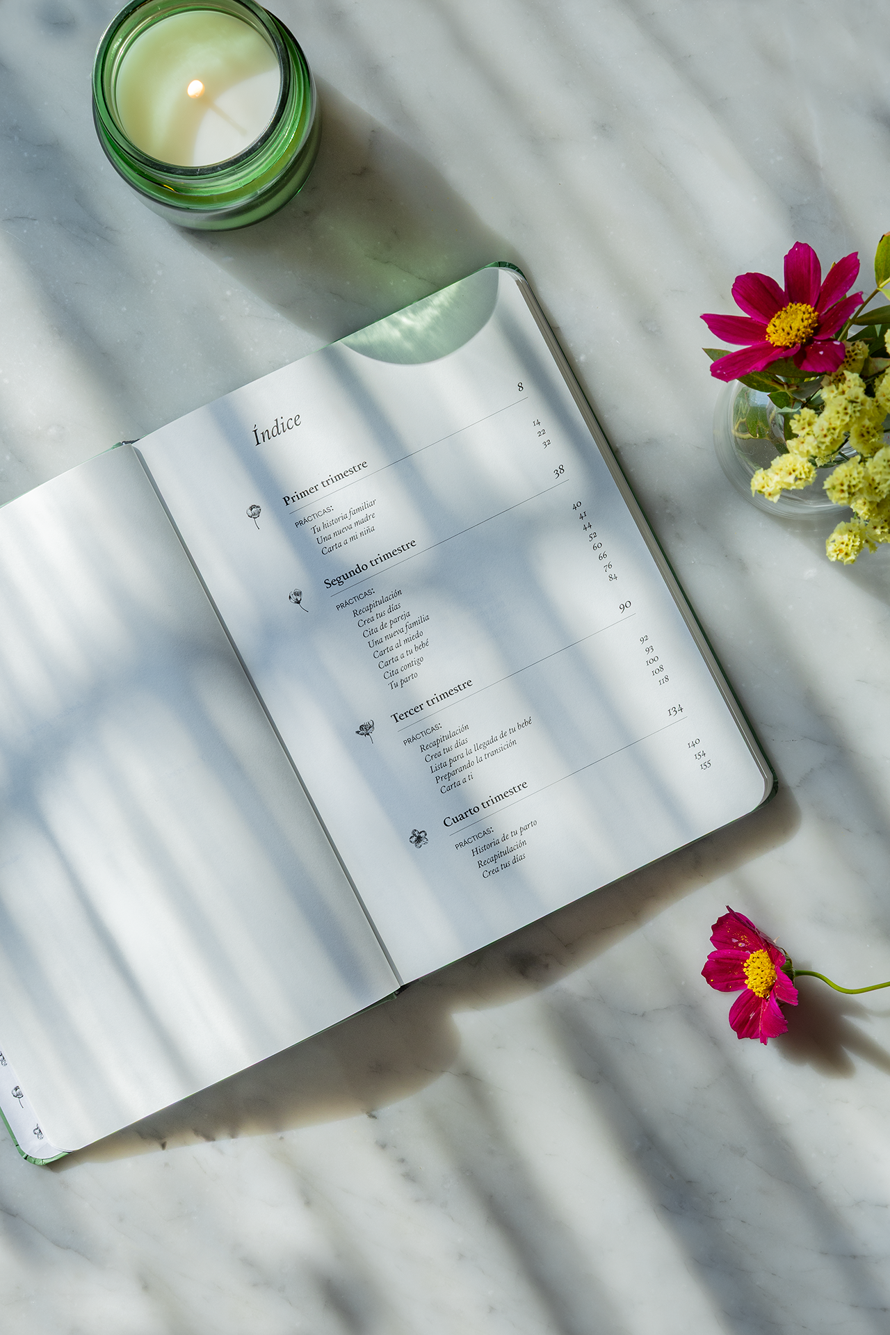 Diario de mi embarazo