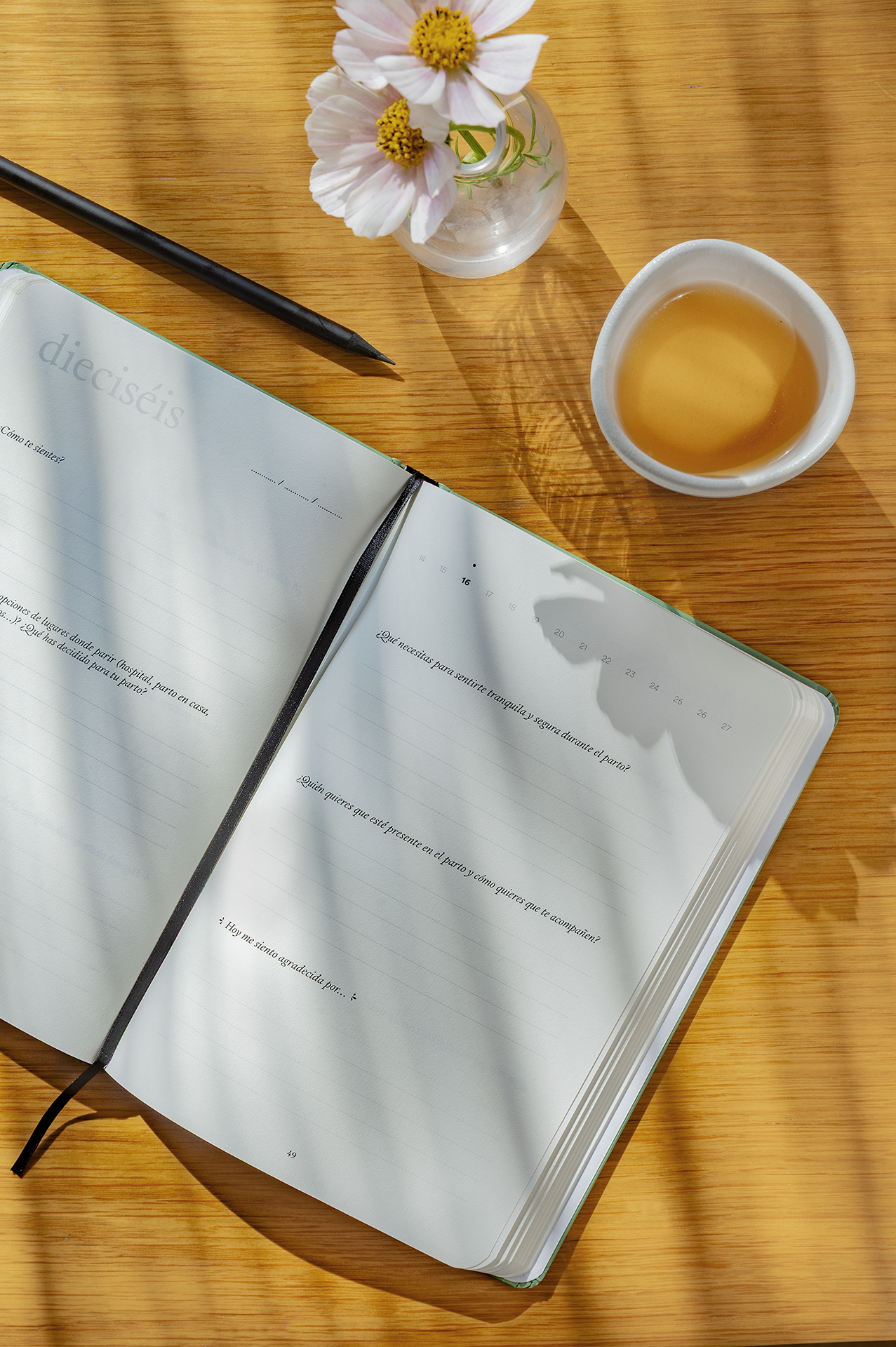 Diario de mi embarazo