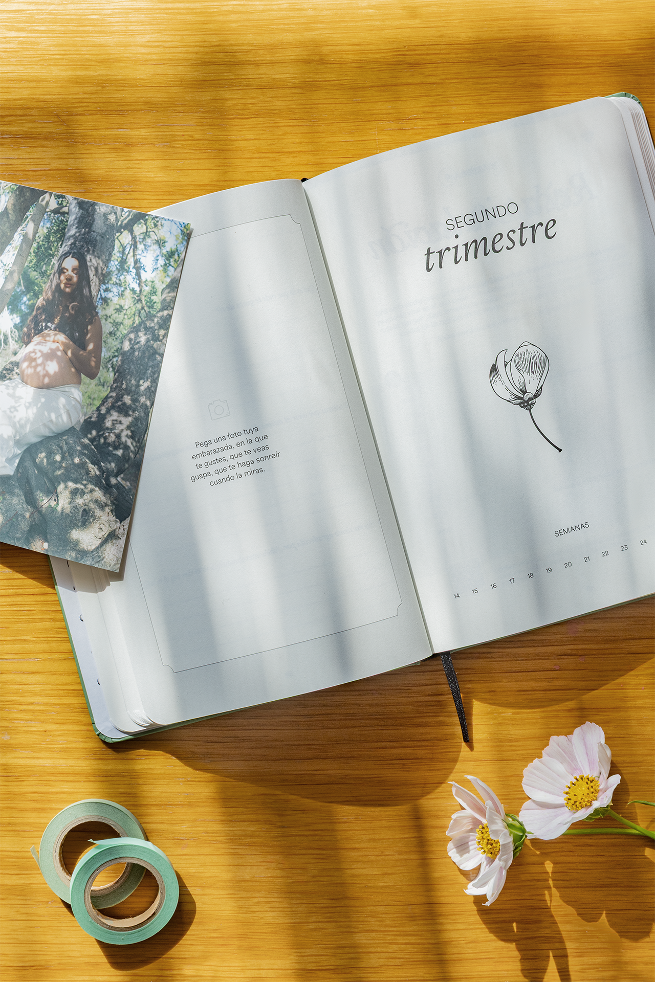 Diario de mi embarazo