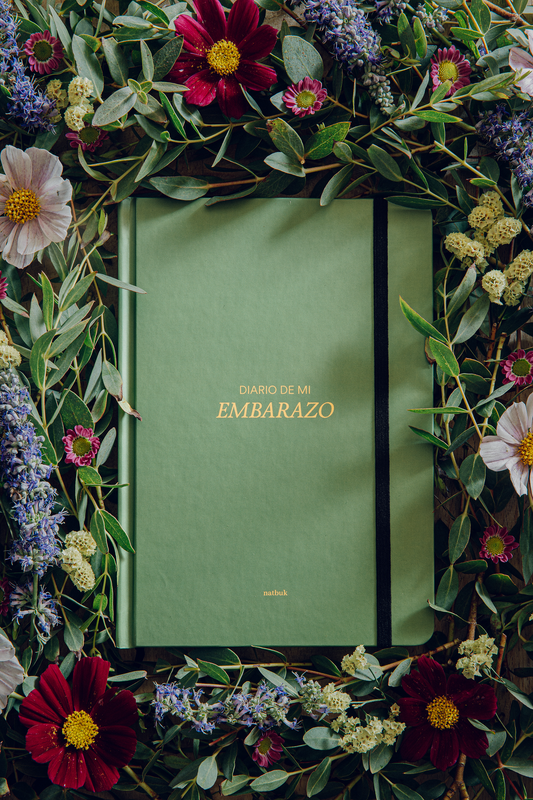 Diario de mi embarazo