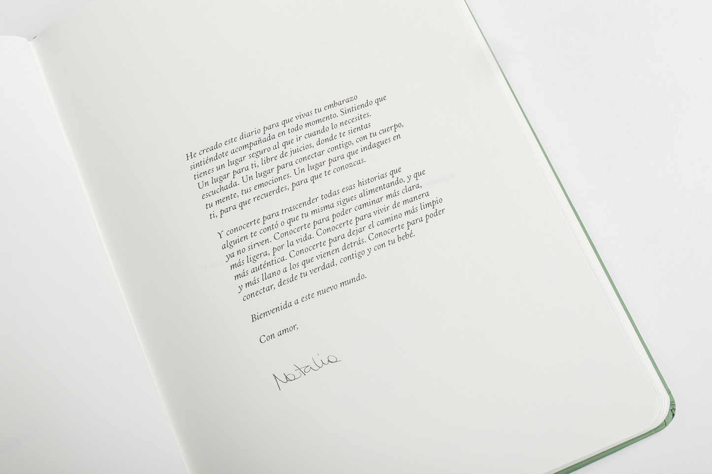 Diario de mi embarazo